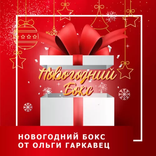 Навчальний бокс Новорічний бокс (120021)